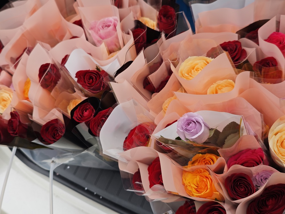 春风如你，，，，，熠熠青春 | 瓦力游戏医疗温馨献礼妇女节